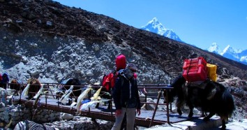 Porters in Nepals himalaya
